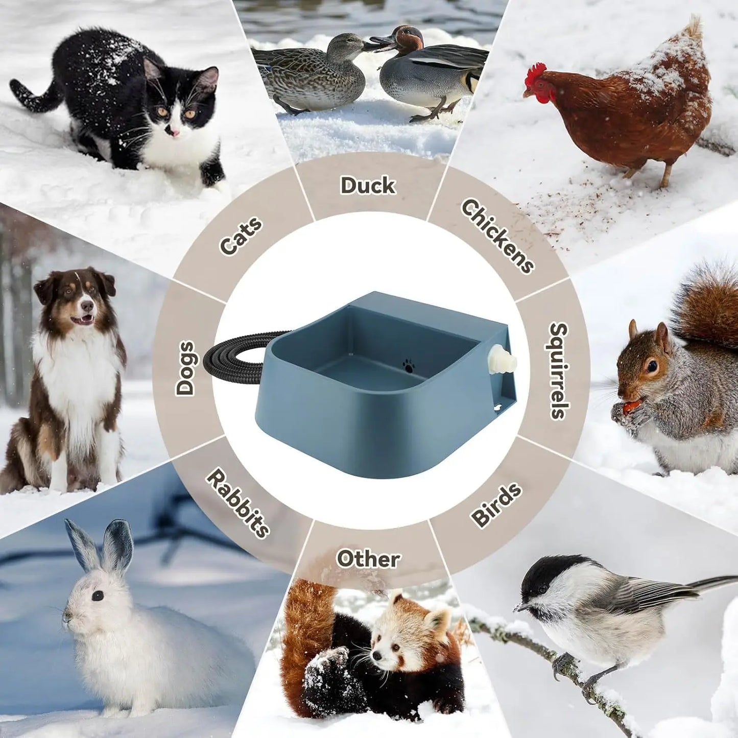 XMSJ Heated Water Dispenser for Dogs and Cats