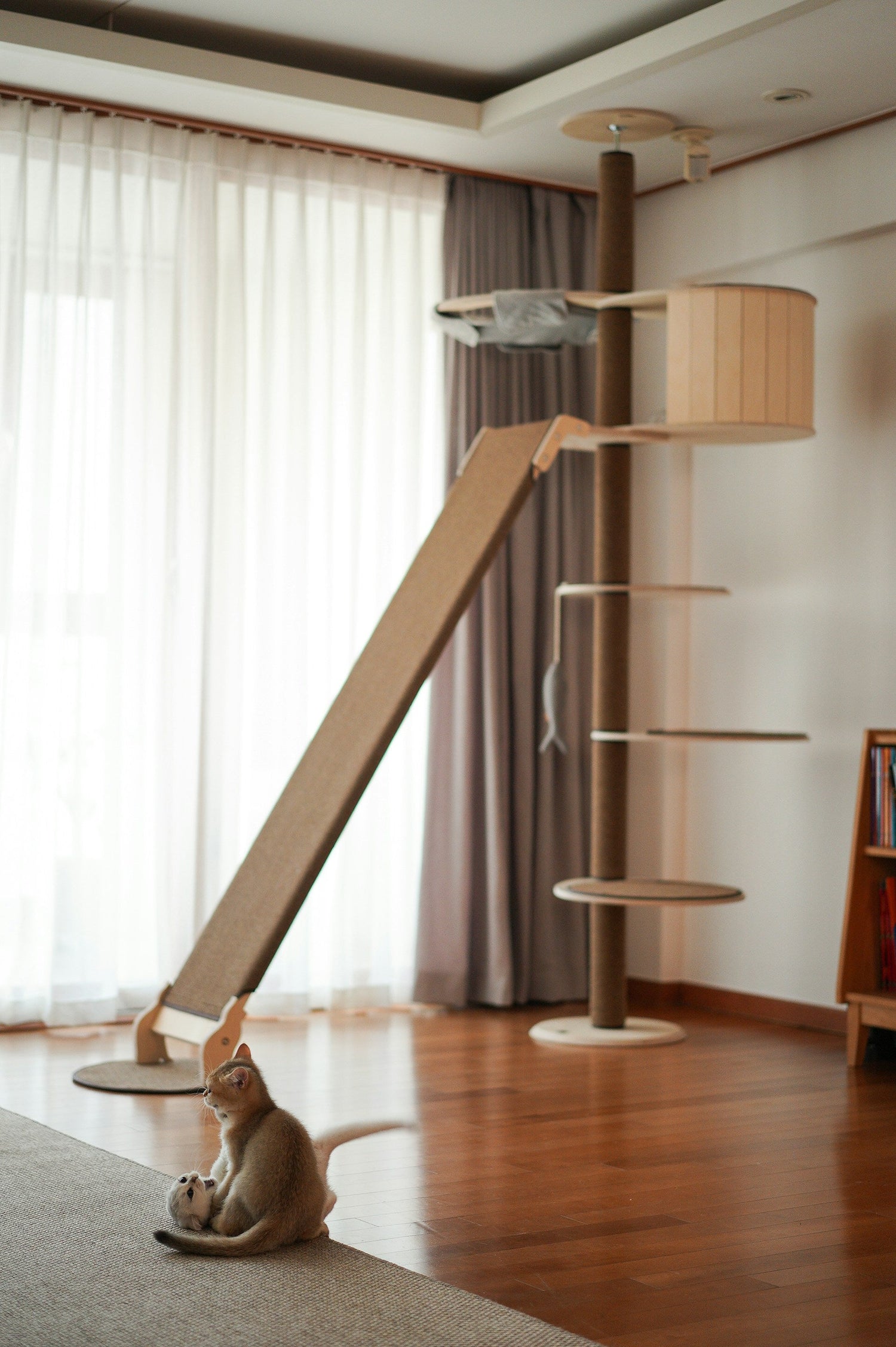Cat Towers