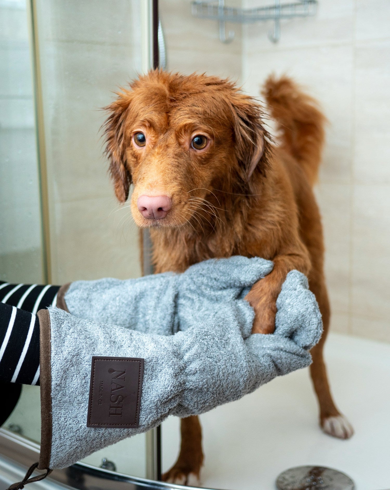 Pet Sanitary Supplies
