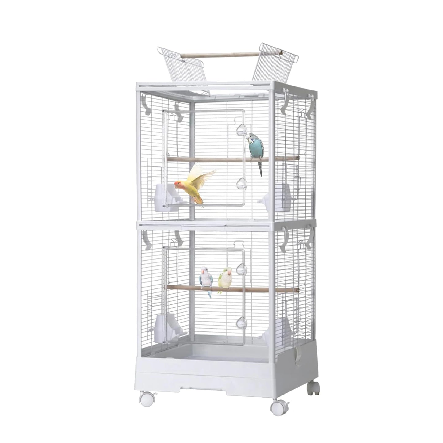 Double Bird Cage For Parrots And Small Birds Today