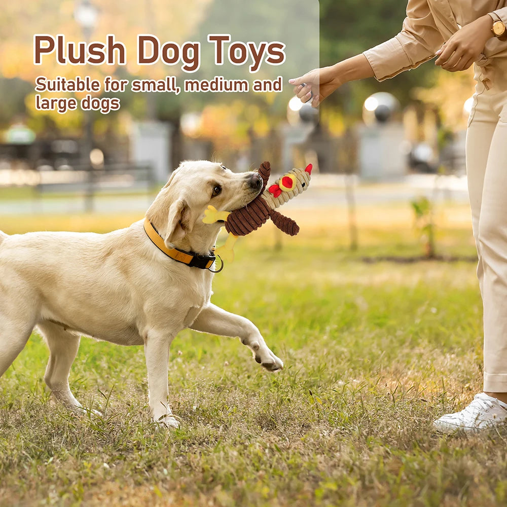 5 Pack Plush Dog Toys Squeaky Assortment Bundle For Dogs