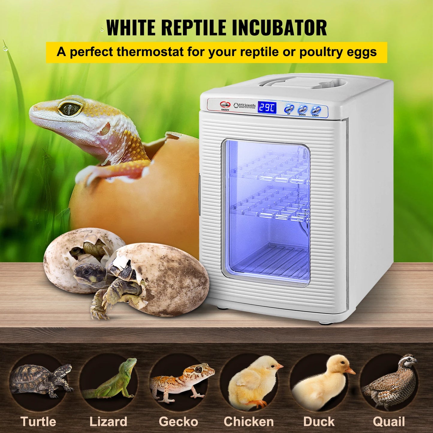 Automatic Reptile Incubator Hatchery For Eggs And Hatchlings