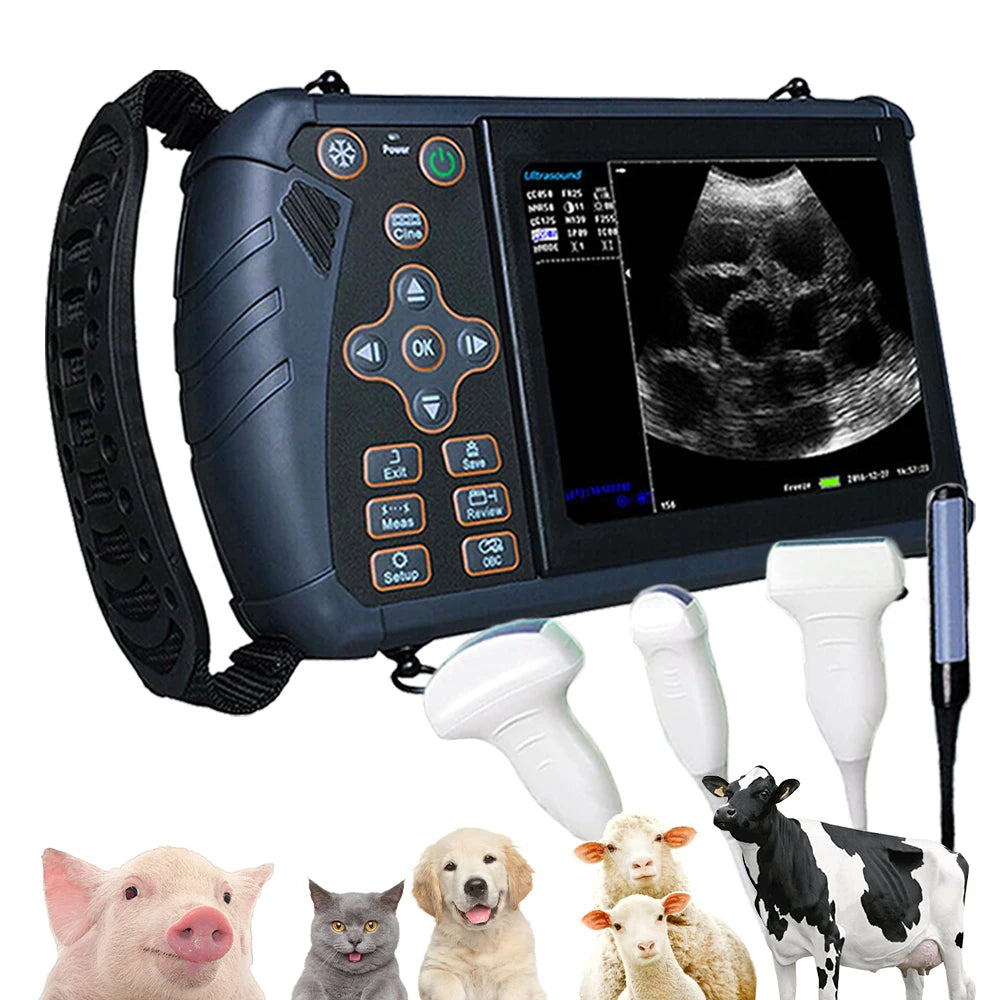 DAWEI Portable Veterinary Ultrasound Scanner For Farm Animal Pregnancy