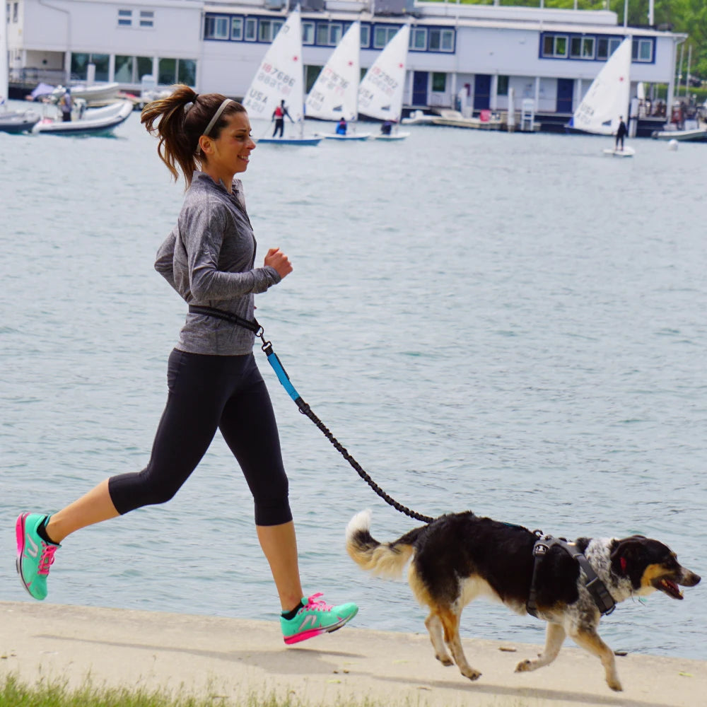 NONECN Hand Free Dog Leash Waist Belt For Walking Running