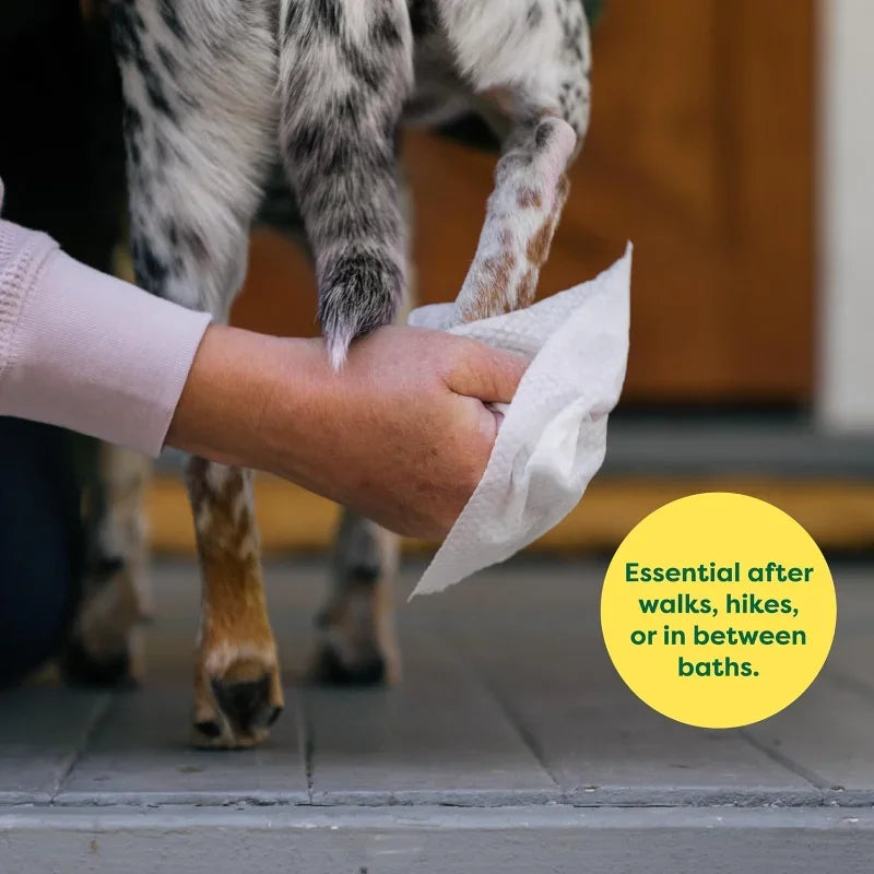 Hypoallergenic Fragrance Free Pet Wipes For Dogs And Cats 100 Count