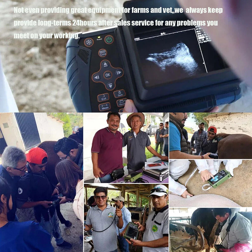 DAWEI Portable Veterinary Ultrasound Scanner for Pregnancy Testing 3.5MHz Probe