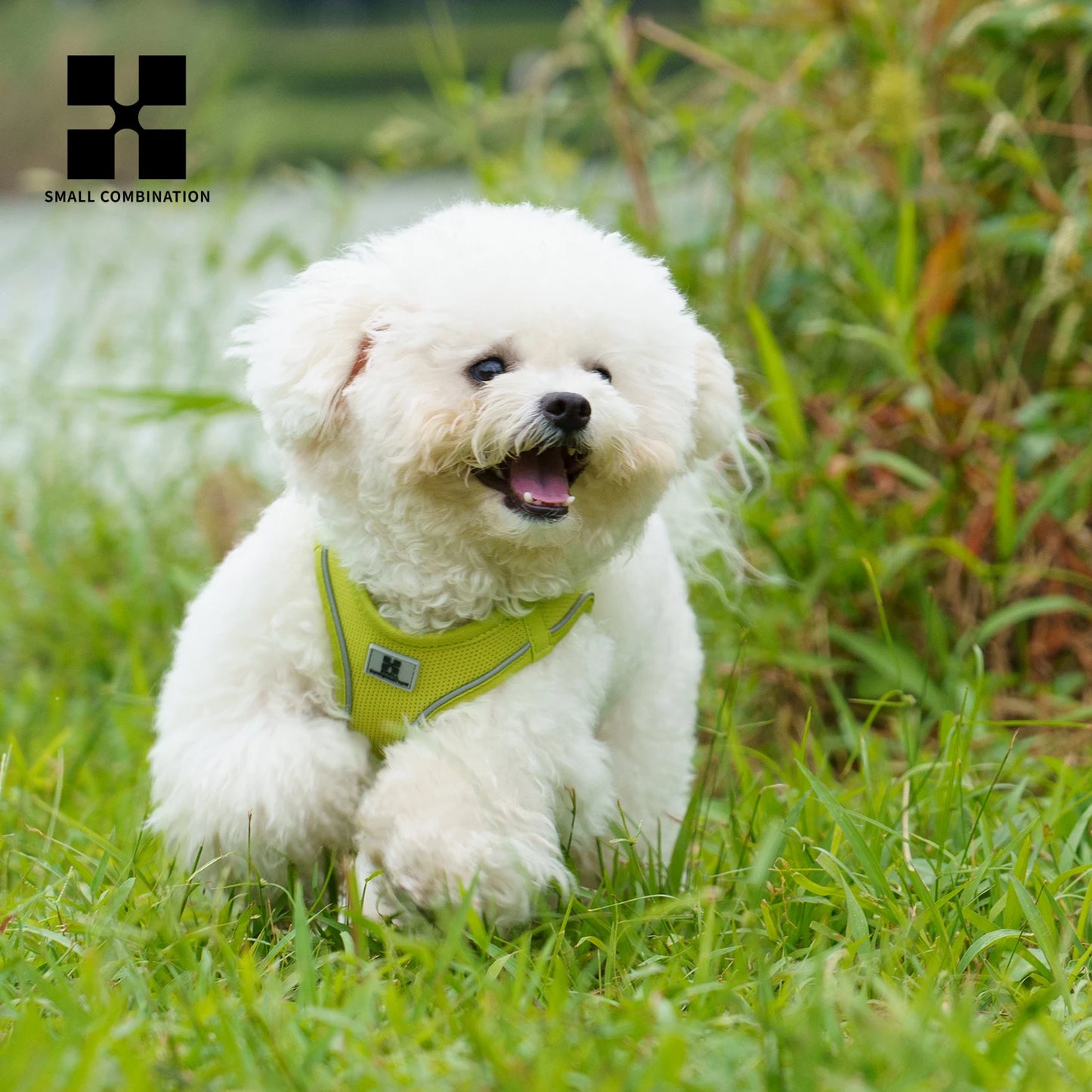 Adjustable Reflective Dog Harness Leash Set for Pets