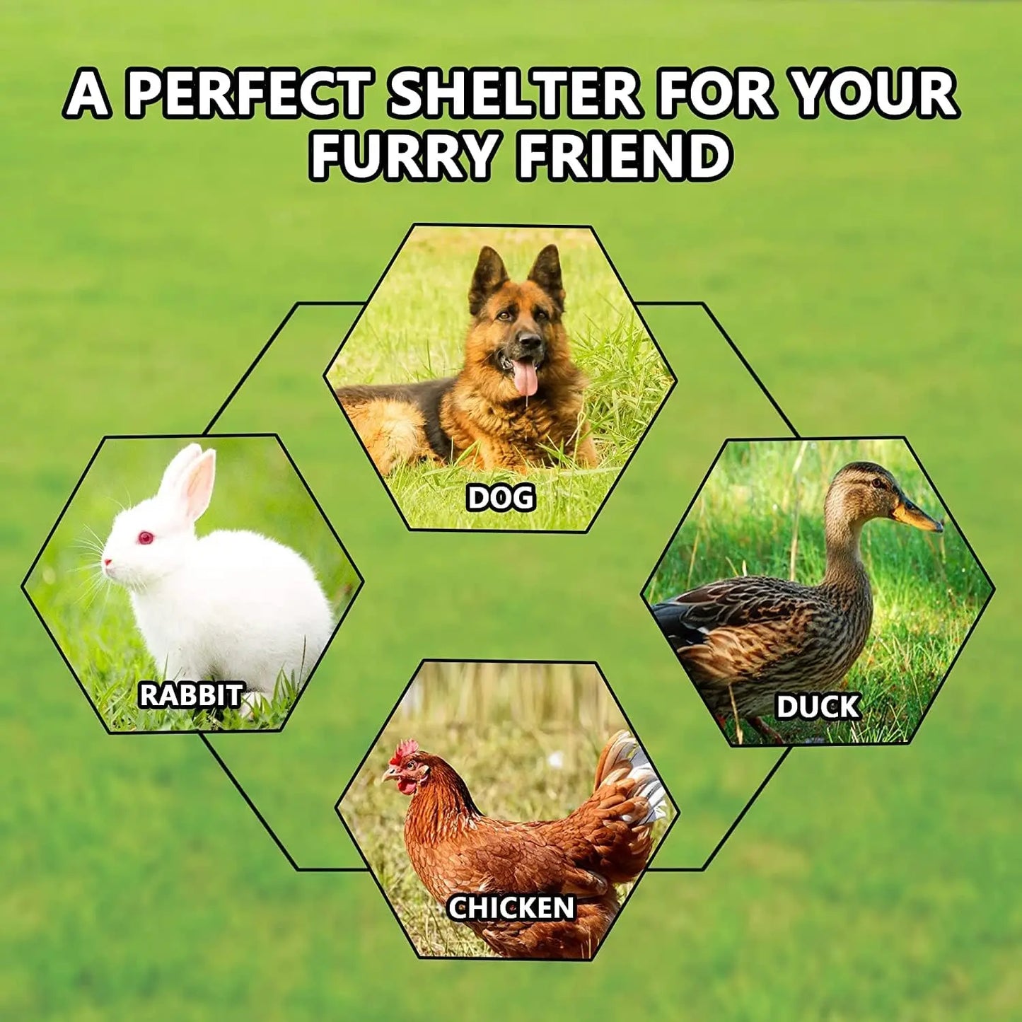 Outdoor Dog Kennel With Roof And Galvanized Chain Link