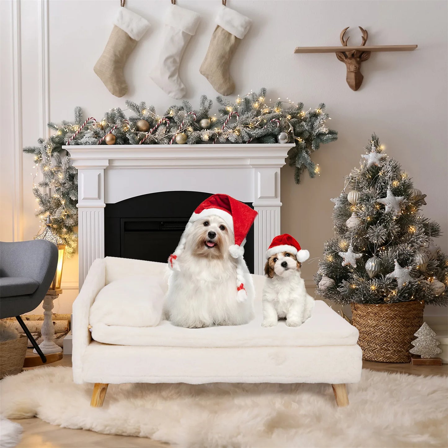 BINGOPAWCN Elevated Pet Bed With Cozy Pad And Wood Legs