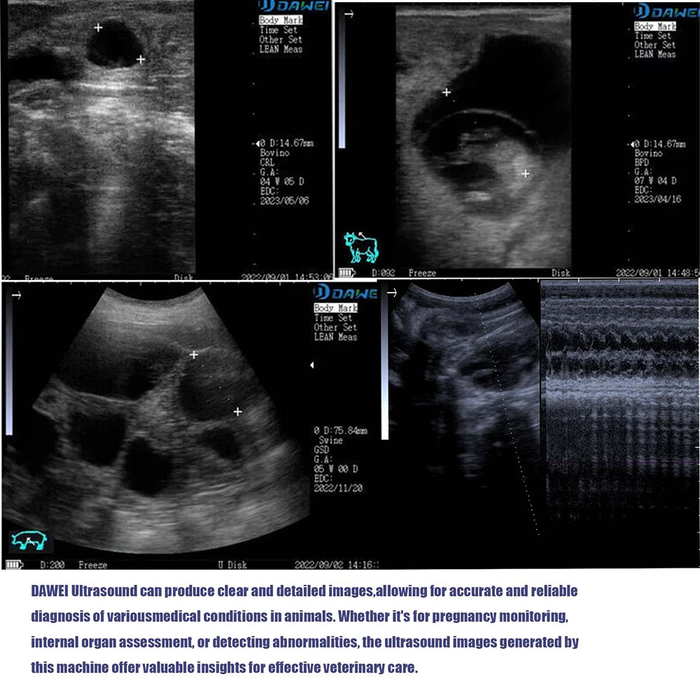 DAWEI Portable Veterinary Ultrasound Scanner For Farm Animal Pregnancy