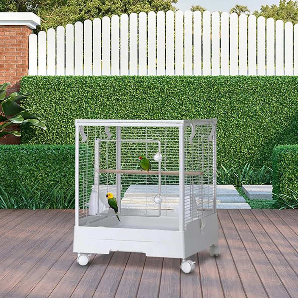 Double Bird Cage For Parrots And Small Birds Today