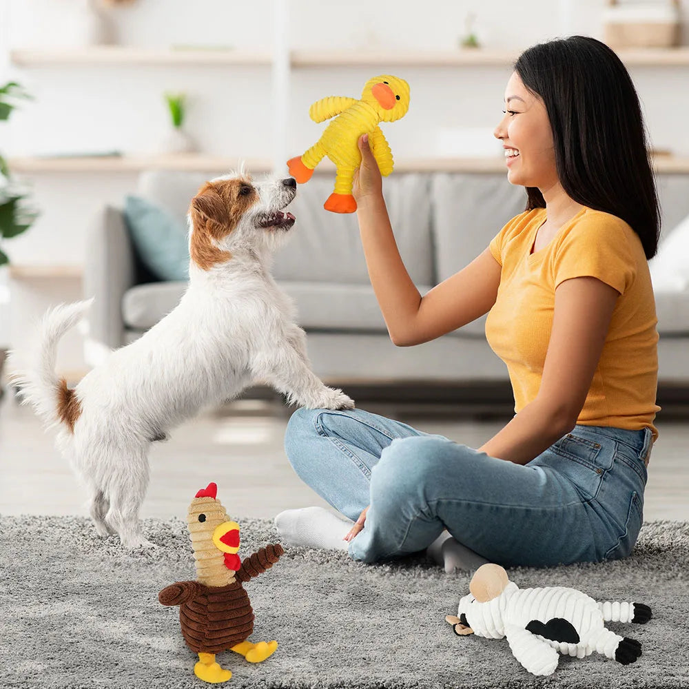 5 Pack Plush Dog Toys Squeaky Assortment Bundle For Dogs