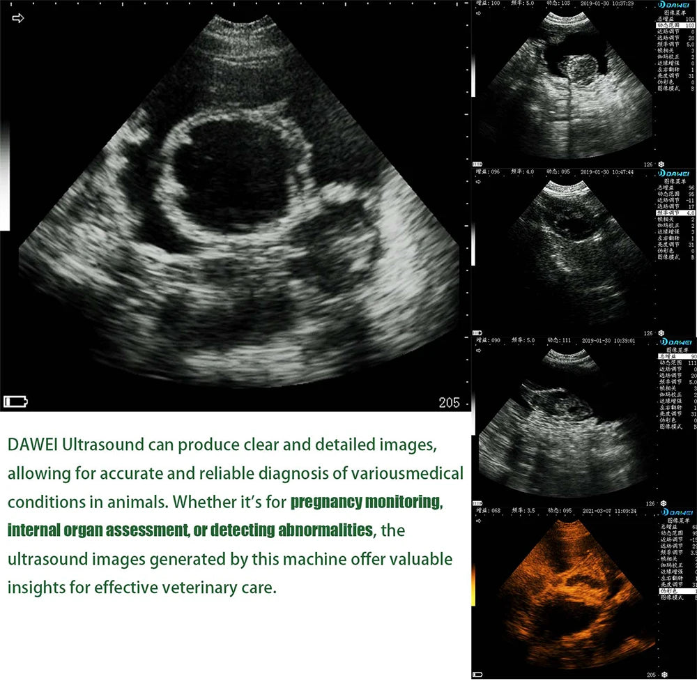 DAWEI Veterinary Ultrasound Scanner For Pregnancy With 3.5MHz Convex Probe