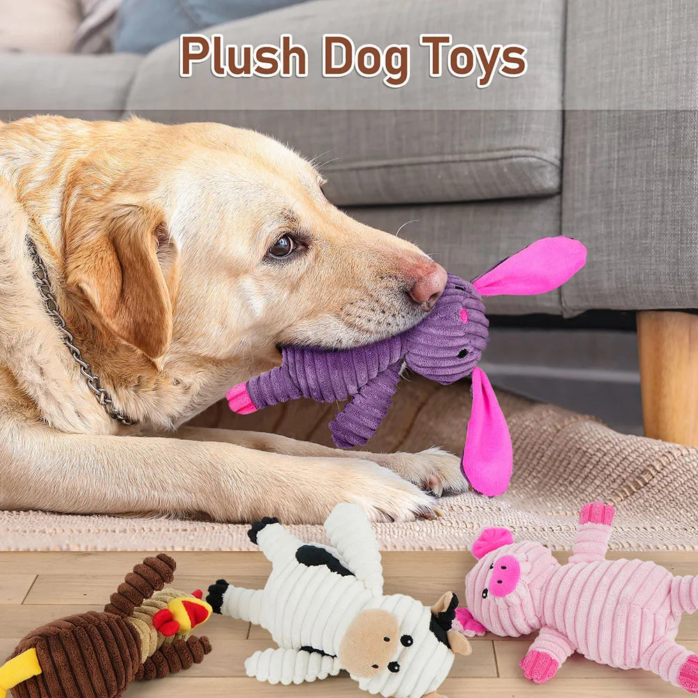 5 Pack Plush Dog Toys Squeaky Assortment Bundle For Dogs